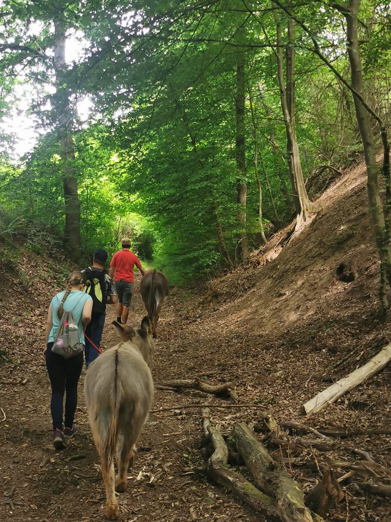 Eselwandern